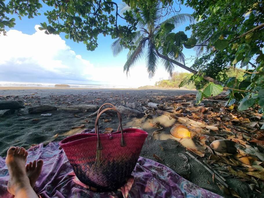 Villa Amor Del Mar With Breathtaking View Of Ocean & Jungle Dominical Extérieur photo