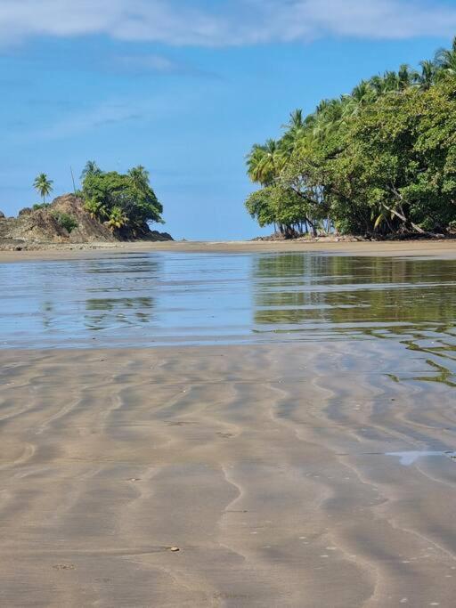 Villa Amor Del Mar With Breathtaking View Of Ocean & Jungle Dominical Extérieur photo