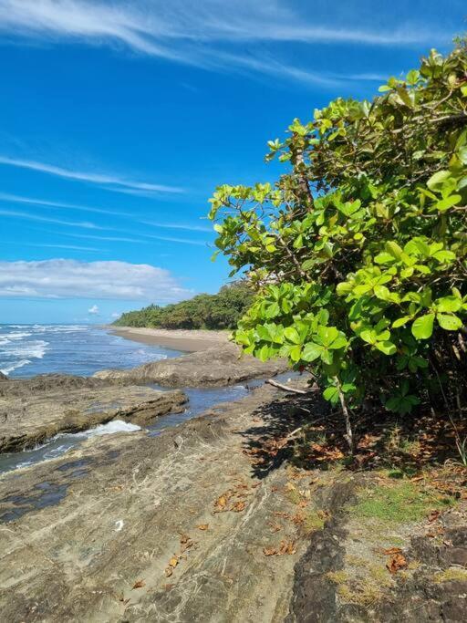 Villa Amor Del Mar With Breathtaking View Of Ocean & Jungle Dominical Extérieur photo