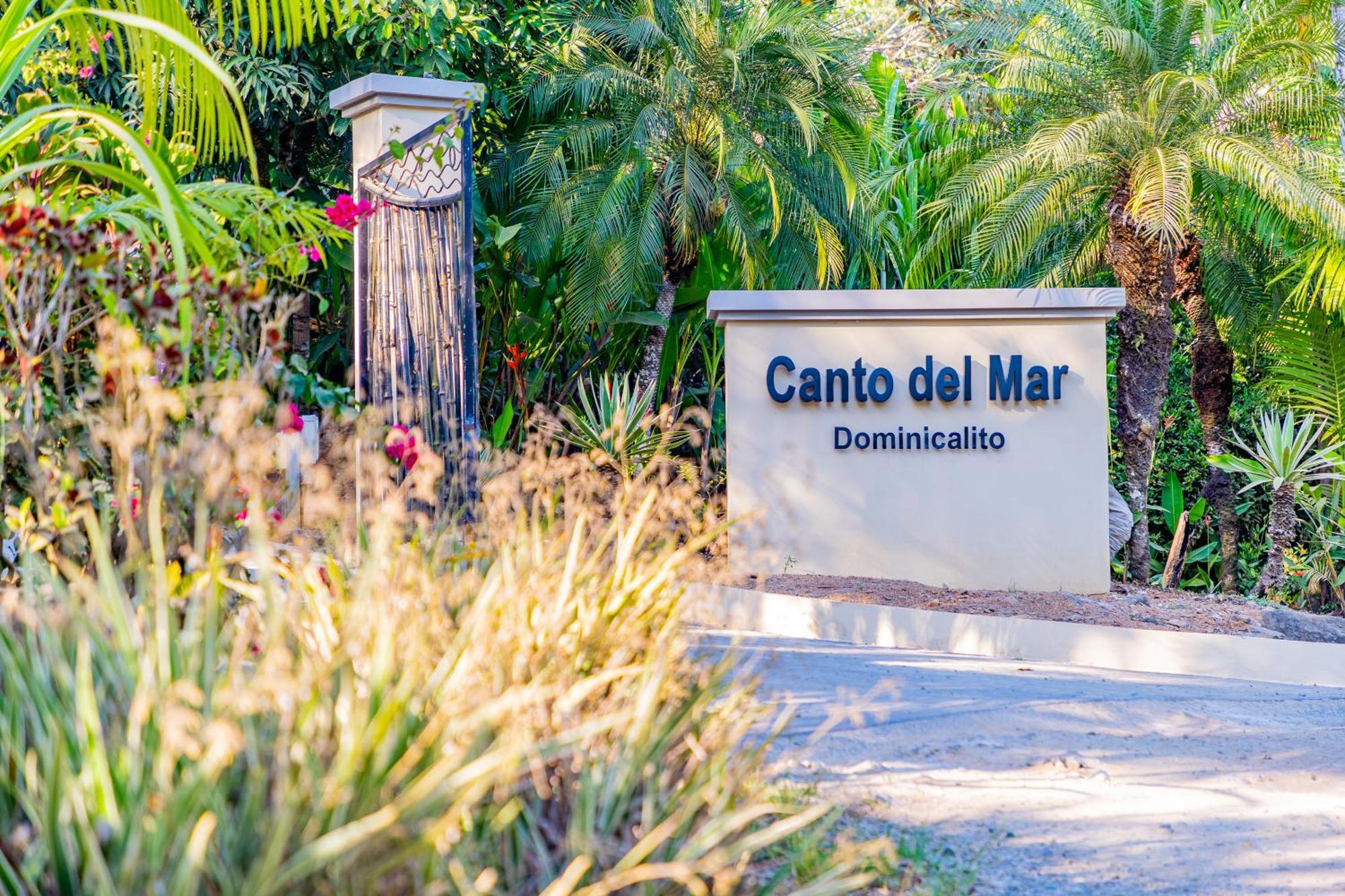 Villa Amor Del Mar With Breathtaking View Of Ocean & Jungle Dominical Extérieur photo